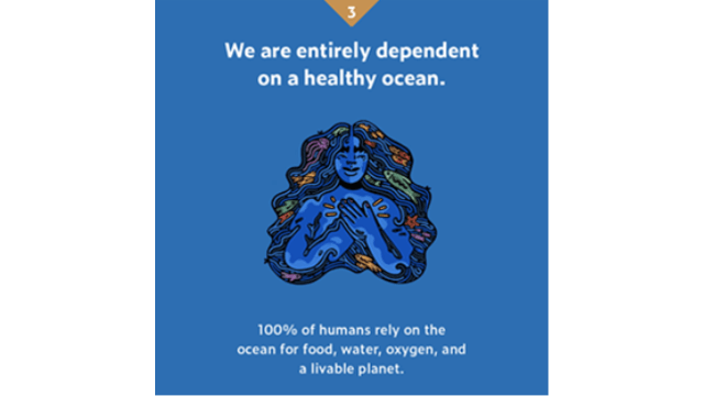 New Ocean Decade Creative Communication Toolkits launched, making it easier than ever to help raise ocean awareness and inspire action