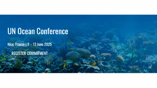 2025 UN Ocean Conference